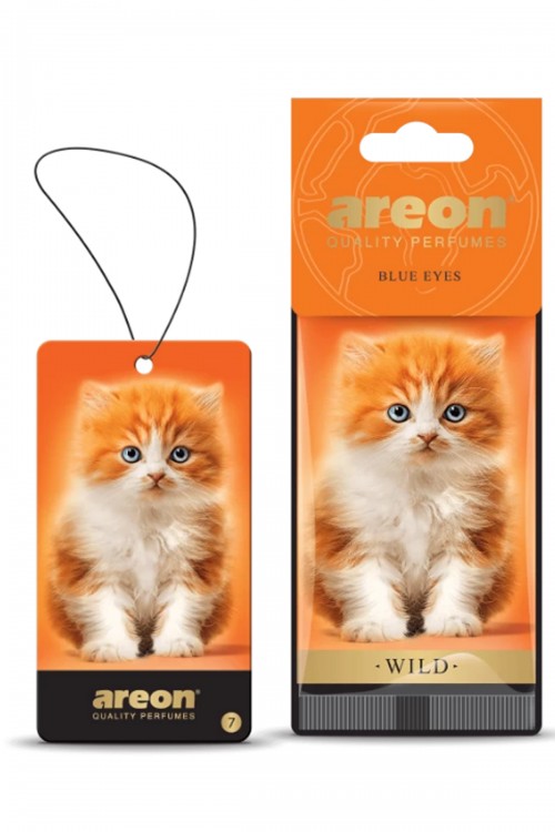 Areon Wild Blue Eyes Araç Asma Kokusu
