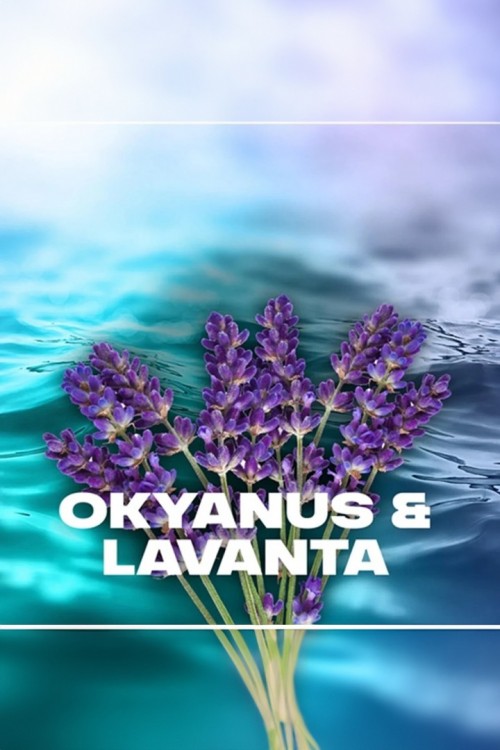 Axe Deodorant You Refreshed